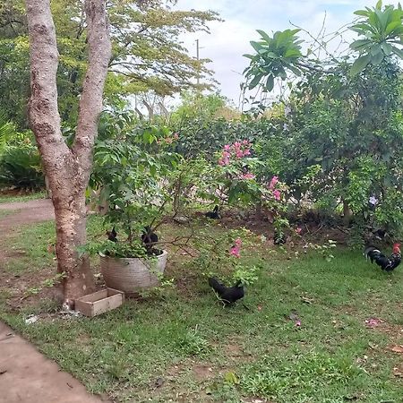 Chacara Pousada Sagui Cuiaba  Exterior photo